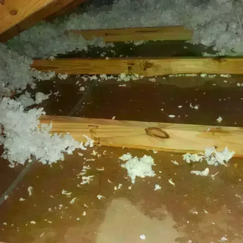 Attic Water Damage in Sedgwick, KS