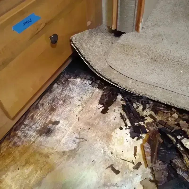 Wood Floor Water Damage in Sedgwick, KS